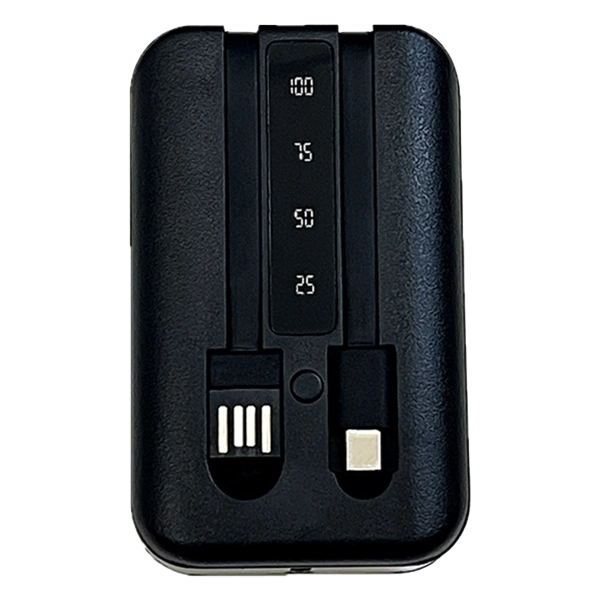 внешний аккумулятор на аккумуляторах 21700