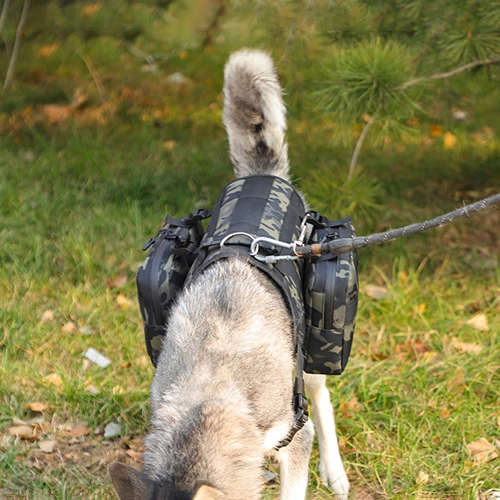 жилет розвантажувальний з камуфляжем для собак