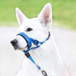 намордник ошейник