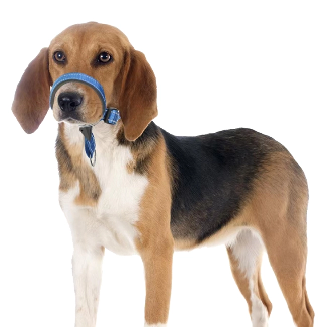 ошейник намордник для собак