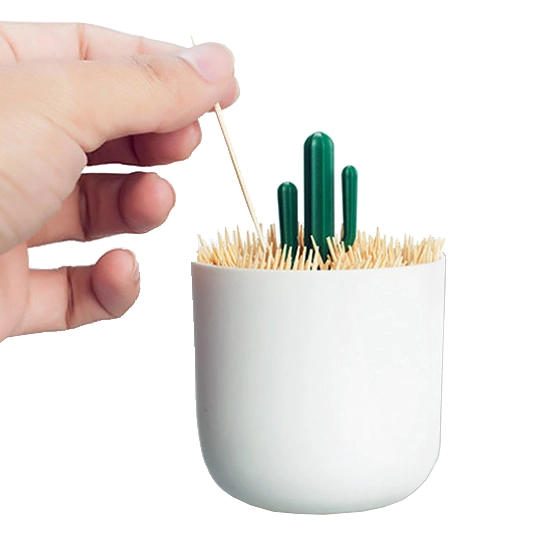 органайзер для хранения зубочисток кактус