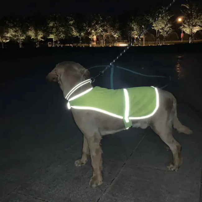 светоотражающая жилетка для собак