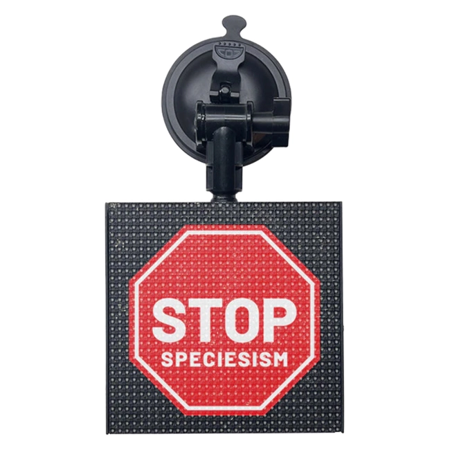 светодиодный дисплей на заднее стекло