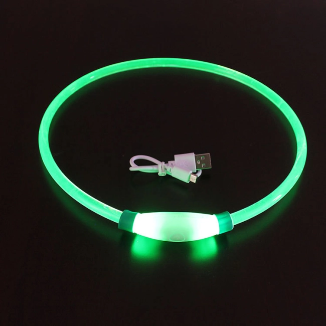 led нашийник, що світиться