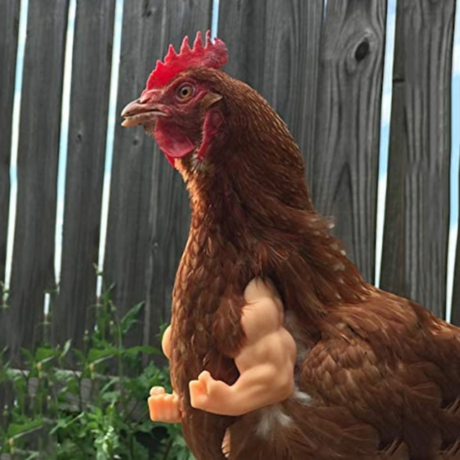 людські руки для курки