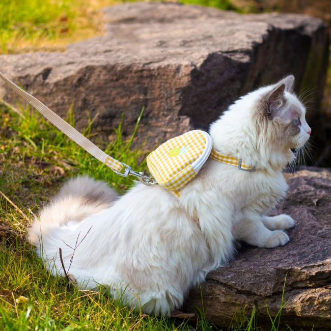 поводок для котов с сумкой