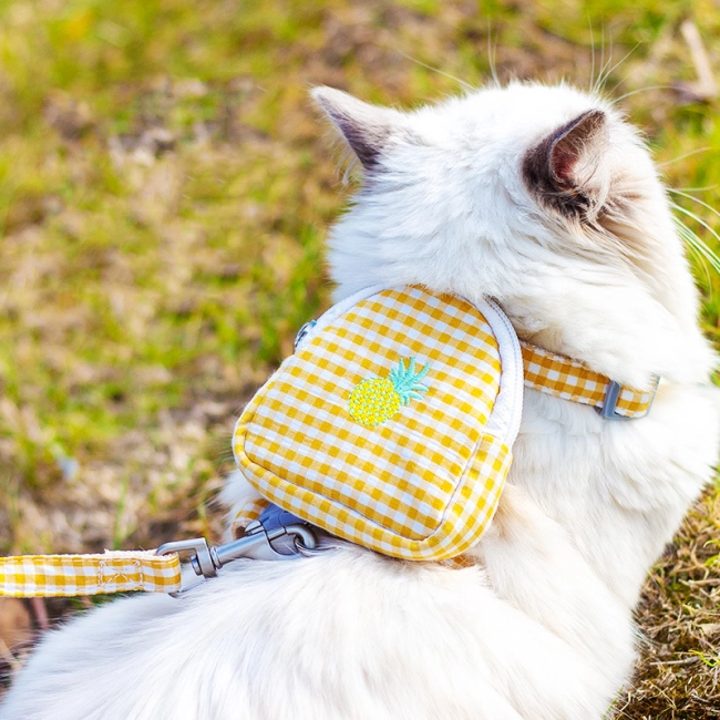 поводок прогулочный с сумкой для кошек