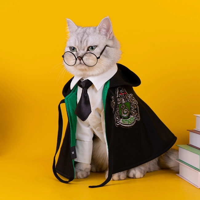 костюм гарри поттера для котов и собак