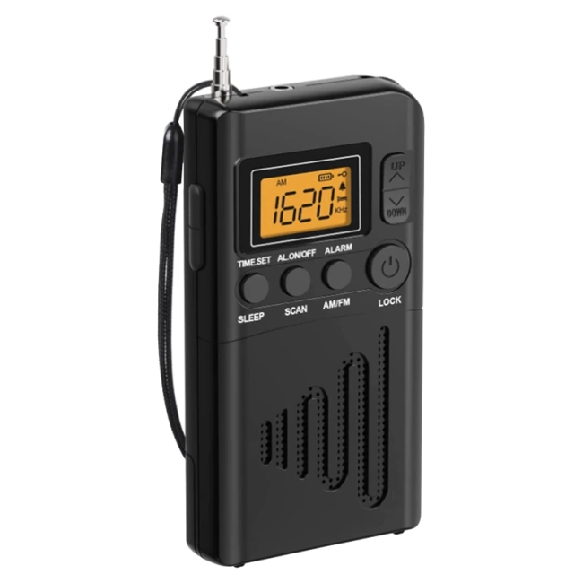 портативное радио с экраном