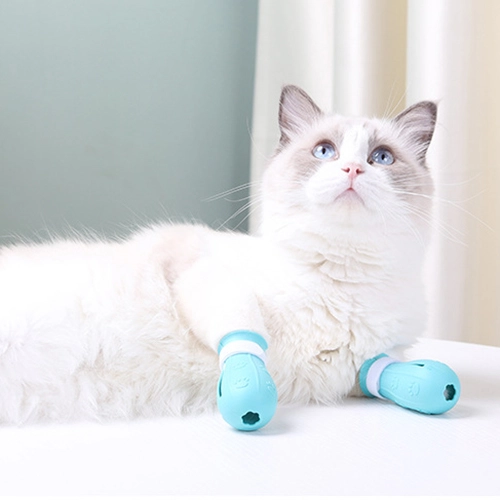 кошачьи антицарапки