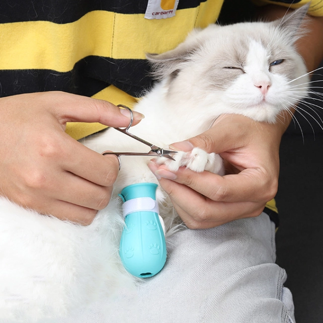 кошачьи налапники