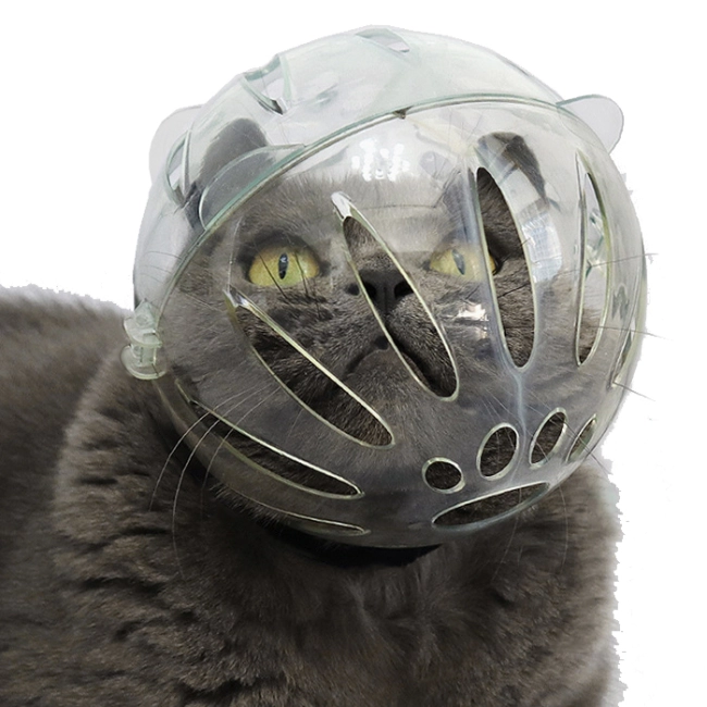 куля намордник для кішки