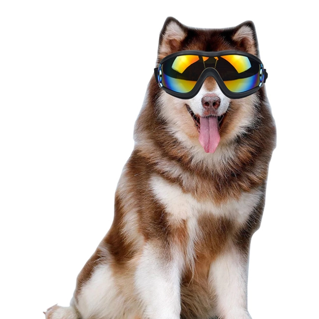 очки для собак с защитой от ультрафиолета