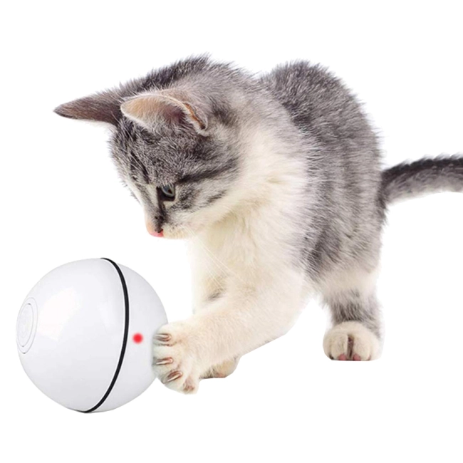 розумна іграшка на usb для кішки