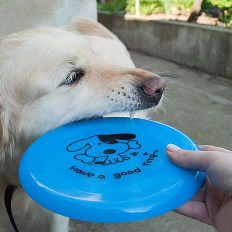 літаюча тарілка