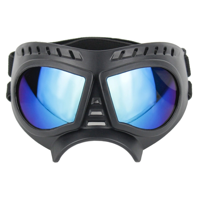 солнечные собачьи очки