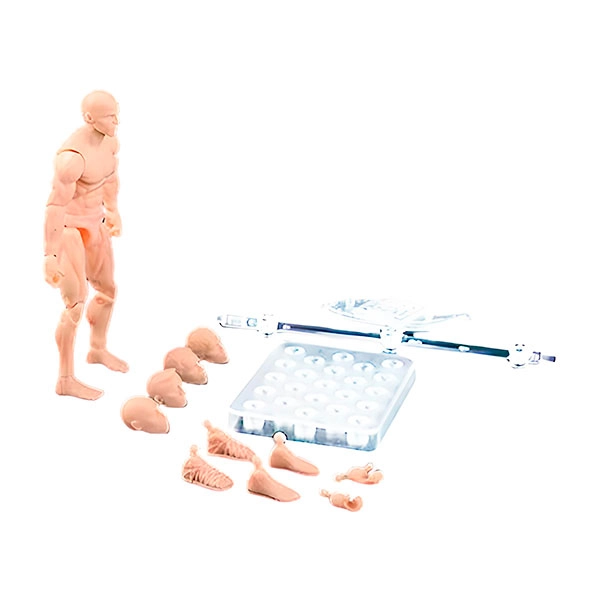 фігурка для малювання людина