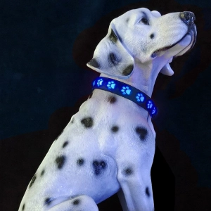 светящийся ошейник usb