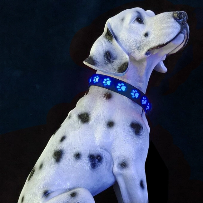 светящийся ошейник usb