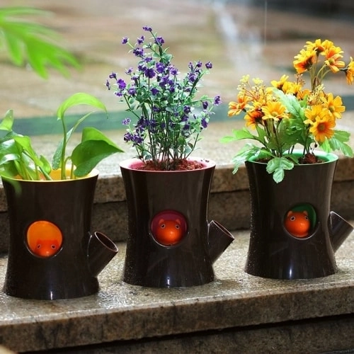 самополивающий горшок белка