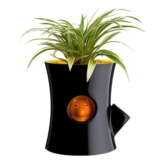 самополивающийся цветочный горшок белка