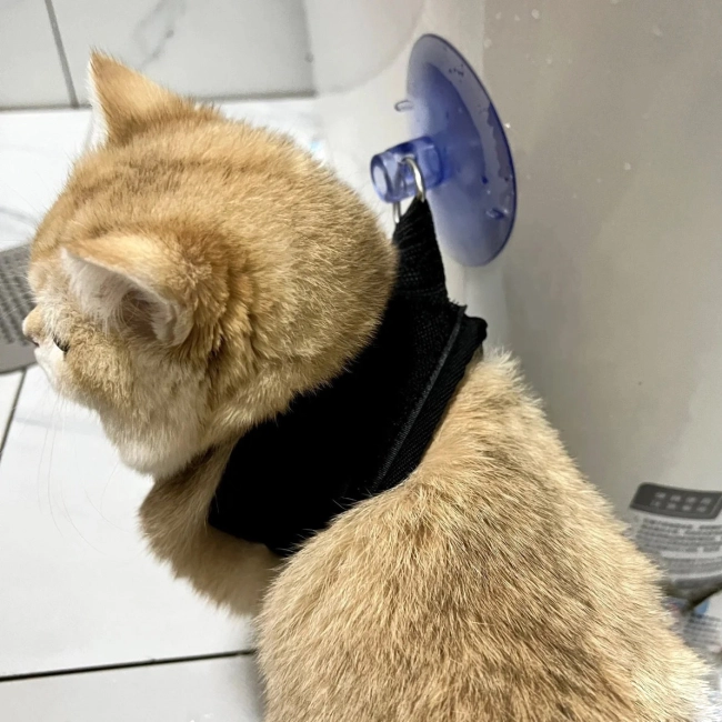 котячий нашийник для купання