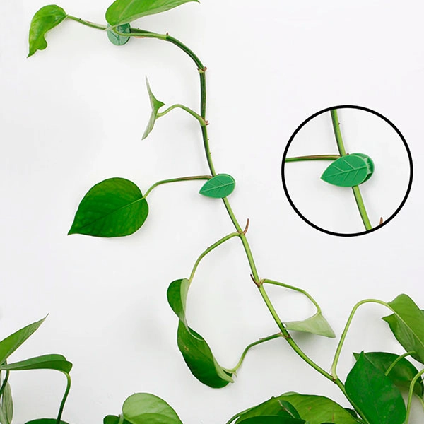 фіксатори для в'юнких рослин