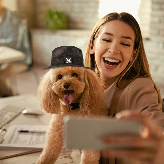 шляпа на голову для котов и собак