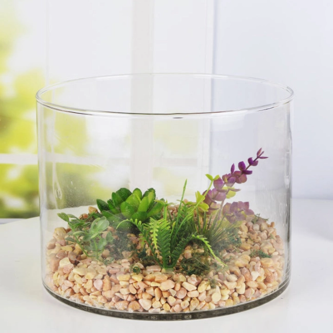 флорариум с суккулентом