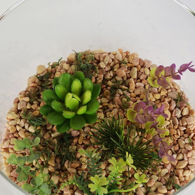 флорариум для дома