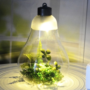 Ваза для флораріуму з підсвіткою ваза для флораріуму з підсвіткою