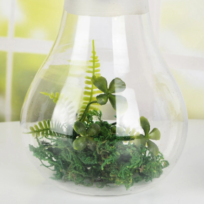 ємність для флораріуму з підсвіткою