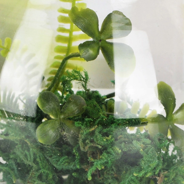 ємність під флораріум з підсвіткою