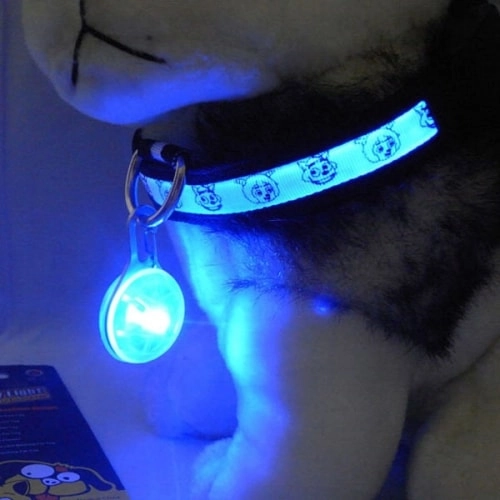 светодиодный брелок для собаки