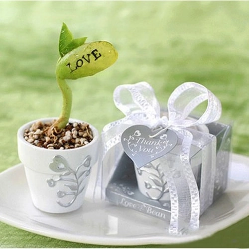 магічні боби