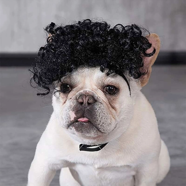 перука для котів