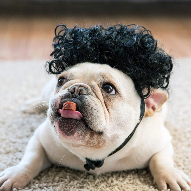 перука для котів