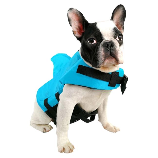 собачий рятувальний жилет у вигляді акули