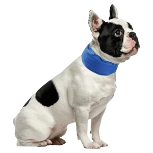 ошейник охлаждающий для собак