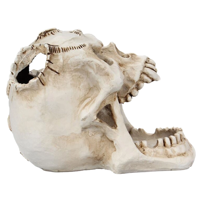 подставка для канцелярии с черепом