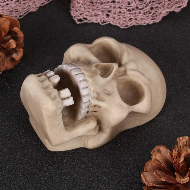 ключниця череп