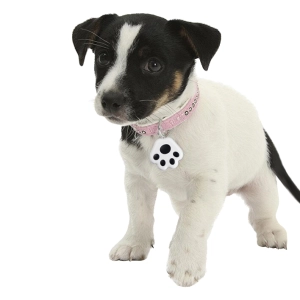 Трекер GPS Bluetooth для тварин трекер gps bluetooth для тварин