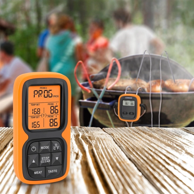 беспроводной термометр с двумя щупами