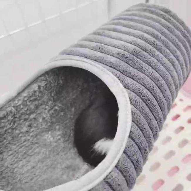 туннель-гамак для грызунов