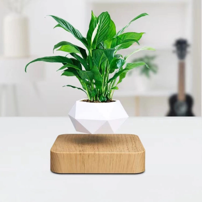 левитирующий горшок для растений