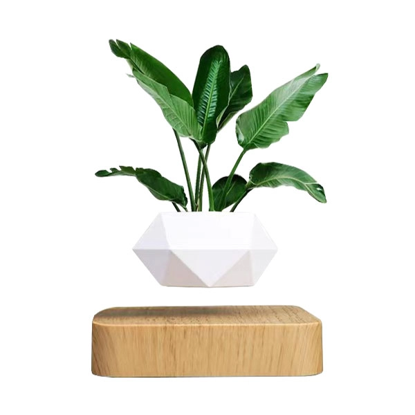 летающий горшок для цветов