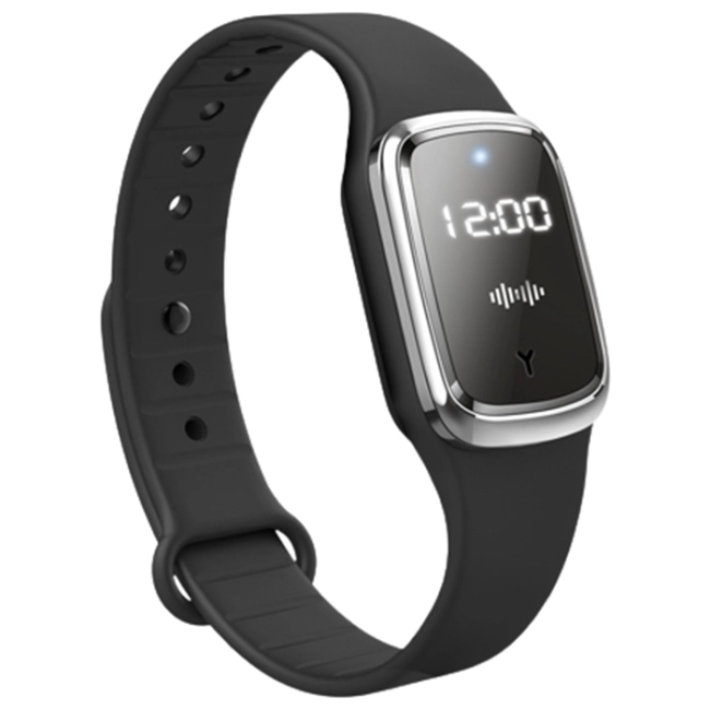 Часы от насекомых