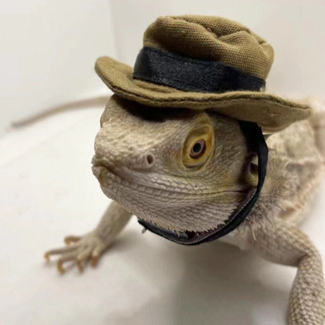 Капелюх для ящірки