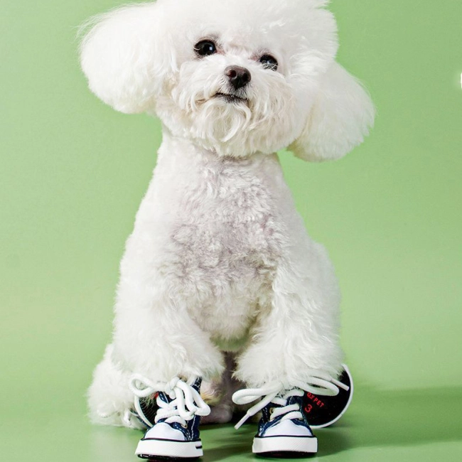 собачья обувь