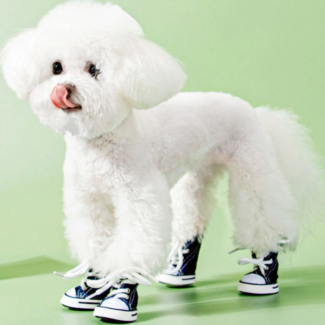 кеды для собак